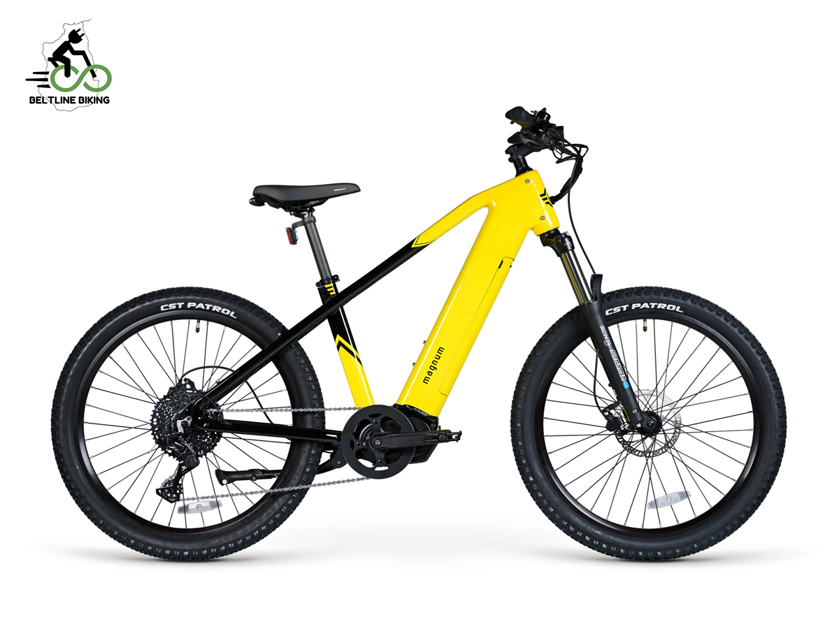 E-Bike Sales and Service